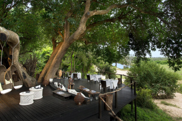 First Mozambique Safari