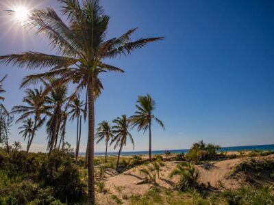 Mozambique Travel Advice