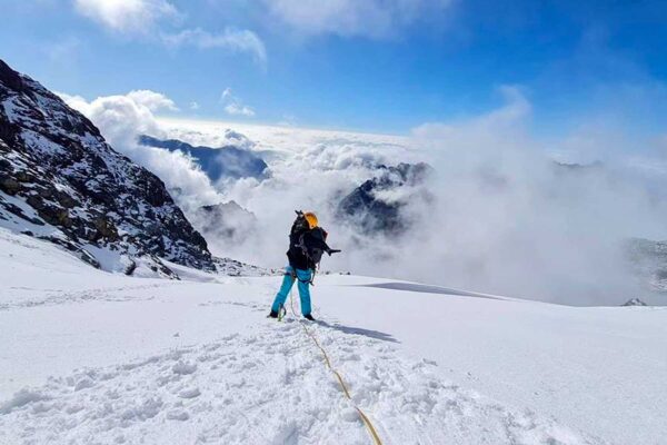 Rwenzori Hiking And Gorilla Trekking Tour Rwenzori Hiking And Gorilla Trekking Tour