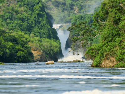 1 Day Murchison Falls Tour