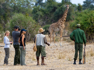 Africa Walking Safaris