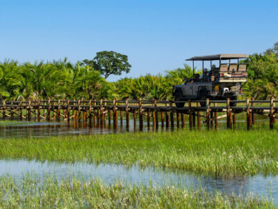 Botswana Tours