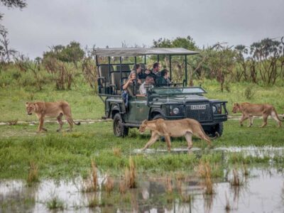 Botswana Tours Africa