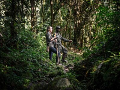 Bwindi Forest Walking Safari Bwindi Forest Walking Safari