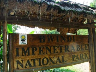Bwindi Impenetrable National Park Bwindi Impenetrable National Park