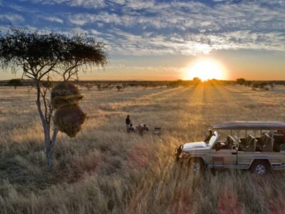 Etosha Heights Private Reserve Safari Etosha Heights Private Reserve Safari