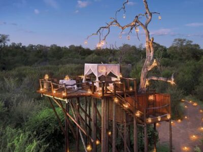 Honeymoon Safari In Africa