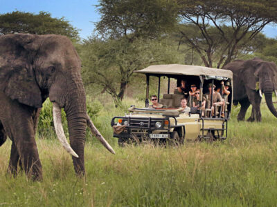 Is It Safe To Travel To Africa