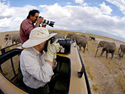 Kenya Photographic Safaris