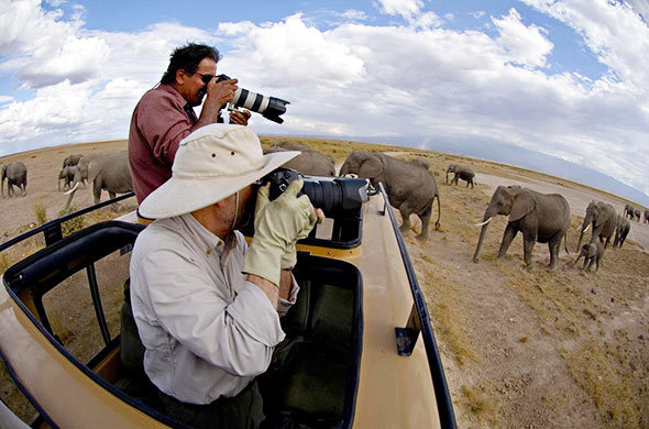 Kenya Photographic Safaris