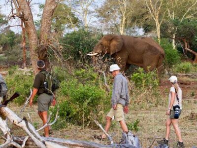 Kruger Private Walking Safari Kruger Private Walking Safari