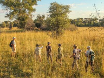 Okavango Delta Walking Safari Okavango Delta Walking Safari