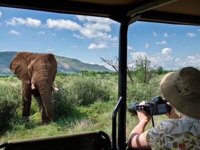 Pilanesberg National Park Safari Pilanesberg National Park Safari