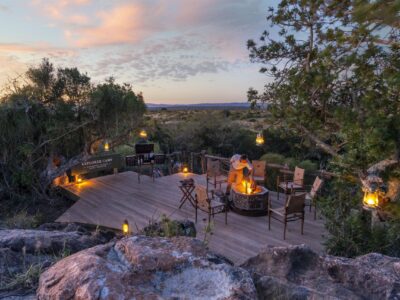 Shamwari Private Game Reserve Safari Shamwari Private Game Reserve Safari