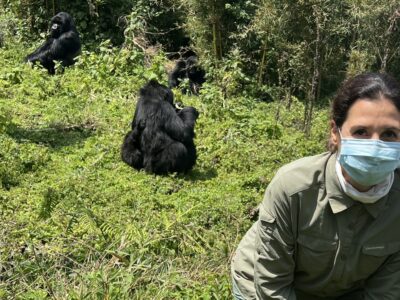 Slow-Paced Uganda Gorilla