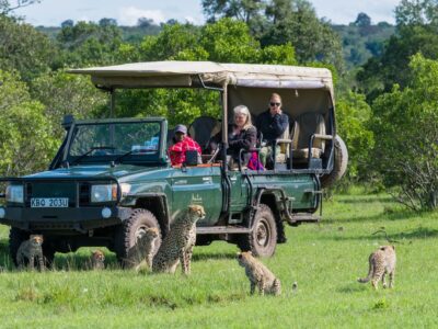 South Africa Photographic Safaris