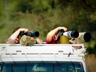 Tanzania Photographic Safaris