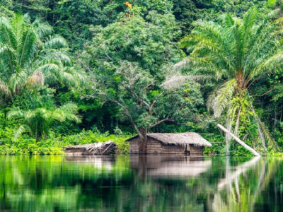 Things To Do In Congo