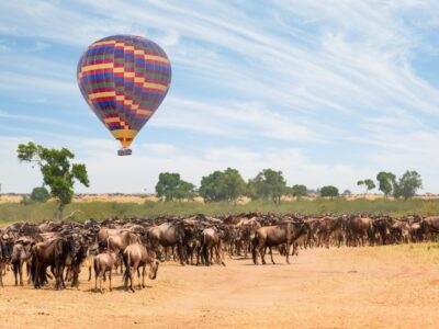 Things To Do In Kenya Africa Things To Do In Kenya Africa