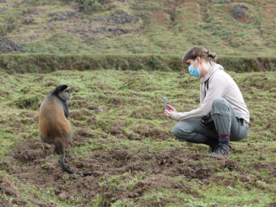 Things To Do In Rwanda Things To Do In Rwanda