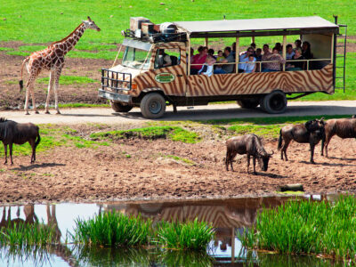 Things To Do In Tanzania