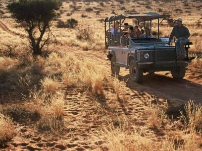 Tswalu Kalahari Reserve Safari Tswalu Kalahari Reserve Safari