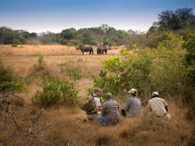 Walking Safaris