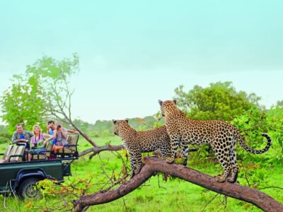 When To Travel To Africa