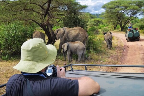 3-Day Classic Serengeti Budget Safari 3-Day Classic Serengeti Budget Safari