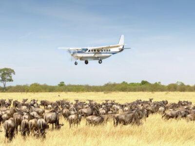 4-Day Classic Serengeti Fly-in Safari 4-Day Classic Serengeti Fly-in Safari