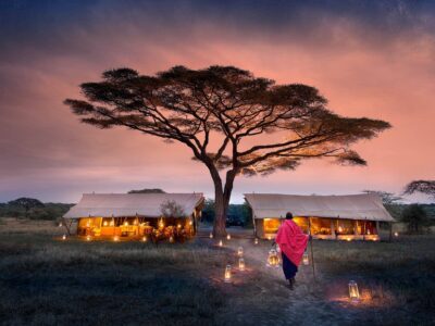 Affordable Serengeti
