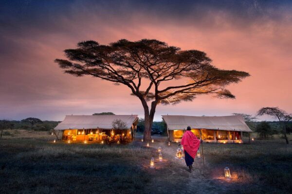 Affordable Serengeti