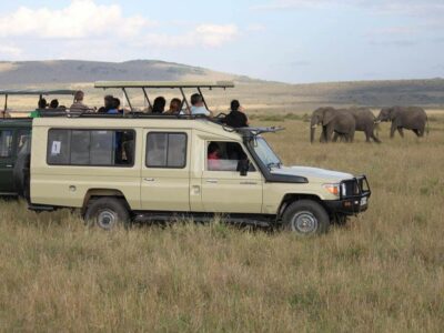 Car Rental Safaris In Africa