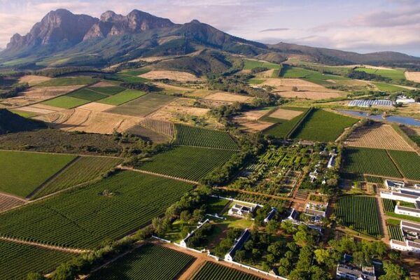 Explore the Winelands