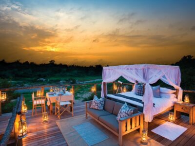 Honeymoon Safari