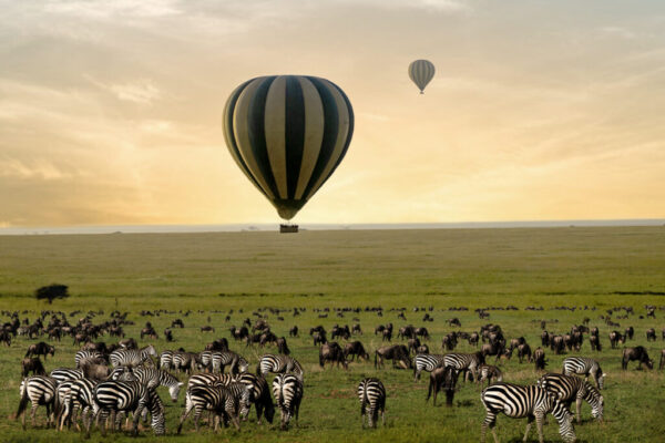 Hot Air Balloon Ride Over Serengeti, Tanzania Hot Air Balloon Ride Over Serengeti, Tanzania