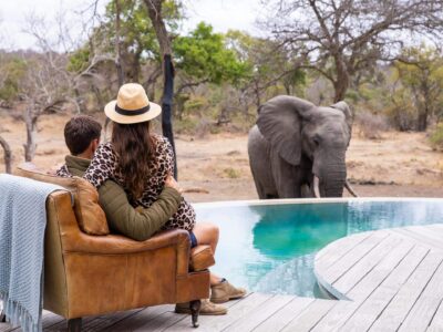 Romantic Bush Picnic in Kruger National Park, South Africa Romantic Bush Picnic in Kruger National Park, South Africa