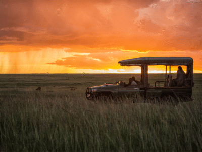 Sunset Game Drives in Masai Mara, Kenya Sunset Game Drives in Masai Mara, Kenya