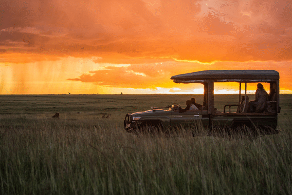 Sunset Game Drives in Masai Mara, Kenya