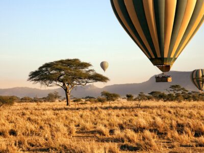 Tanzania Safaris