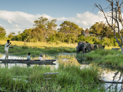 Things To Do In Botswana Things To Do In Botswana