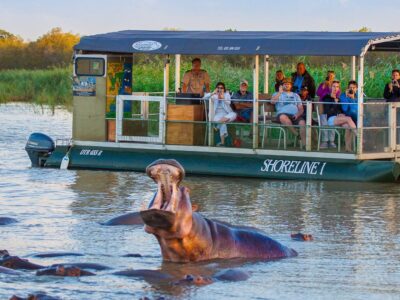 Things To Do In South Africa