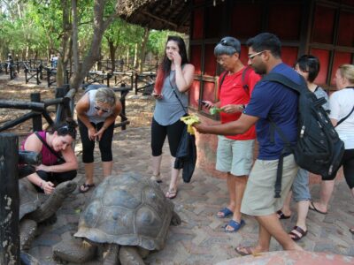Visit the Prison Island Tortoises