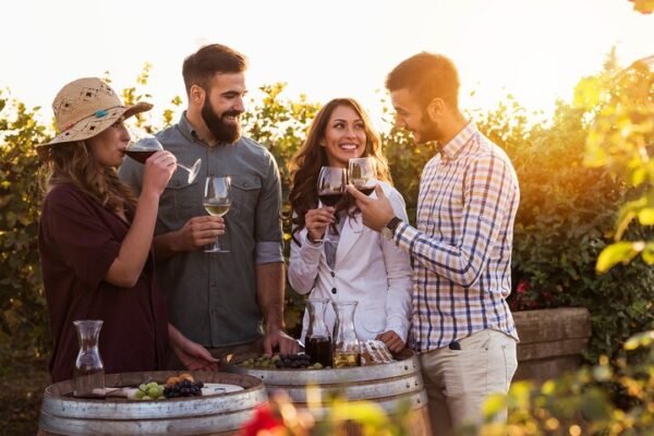Wine Tasting in the Cape Winelands