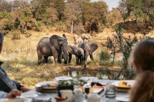 3-Day Kruger Essentials Safari 3-Day Kruger Essentials Safari