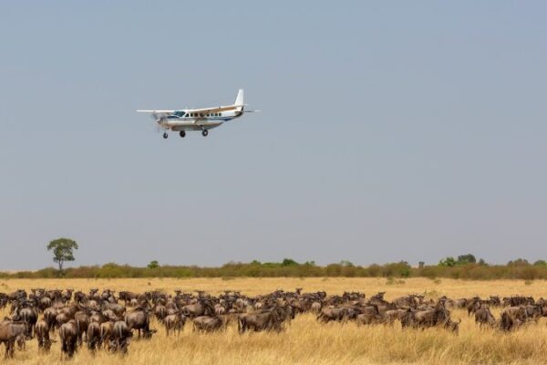 3-Day VIP Flying Safari Masai Mara 3-Day VIP Flying Safari Masai Mara