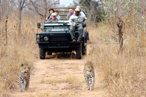 4-Day Private Luxury Safari in Sabi Sands 4-Day Private Luxury Safari in Sabi Sands