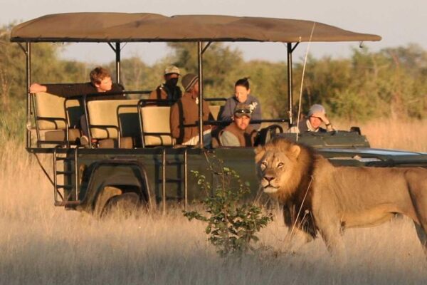 4‑Day Selous Game Reserve Safari