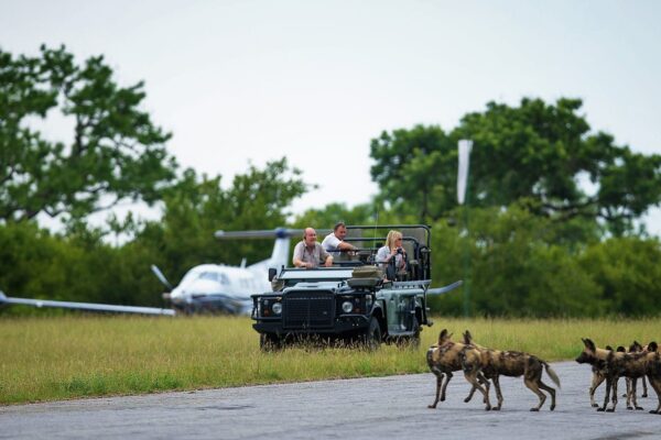 5-Day Fly-In Big Five Luxury Safari 5-Day Fly-In Big Five Luxury Safari