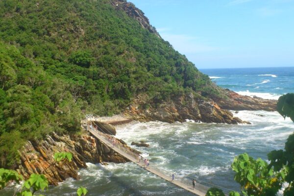 5-Day Garden Route & Safari Combo 5-Day Garden Route & Safari Combo